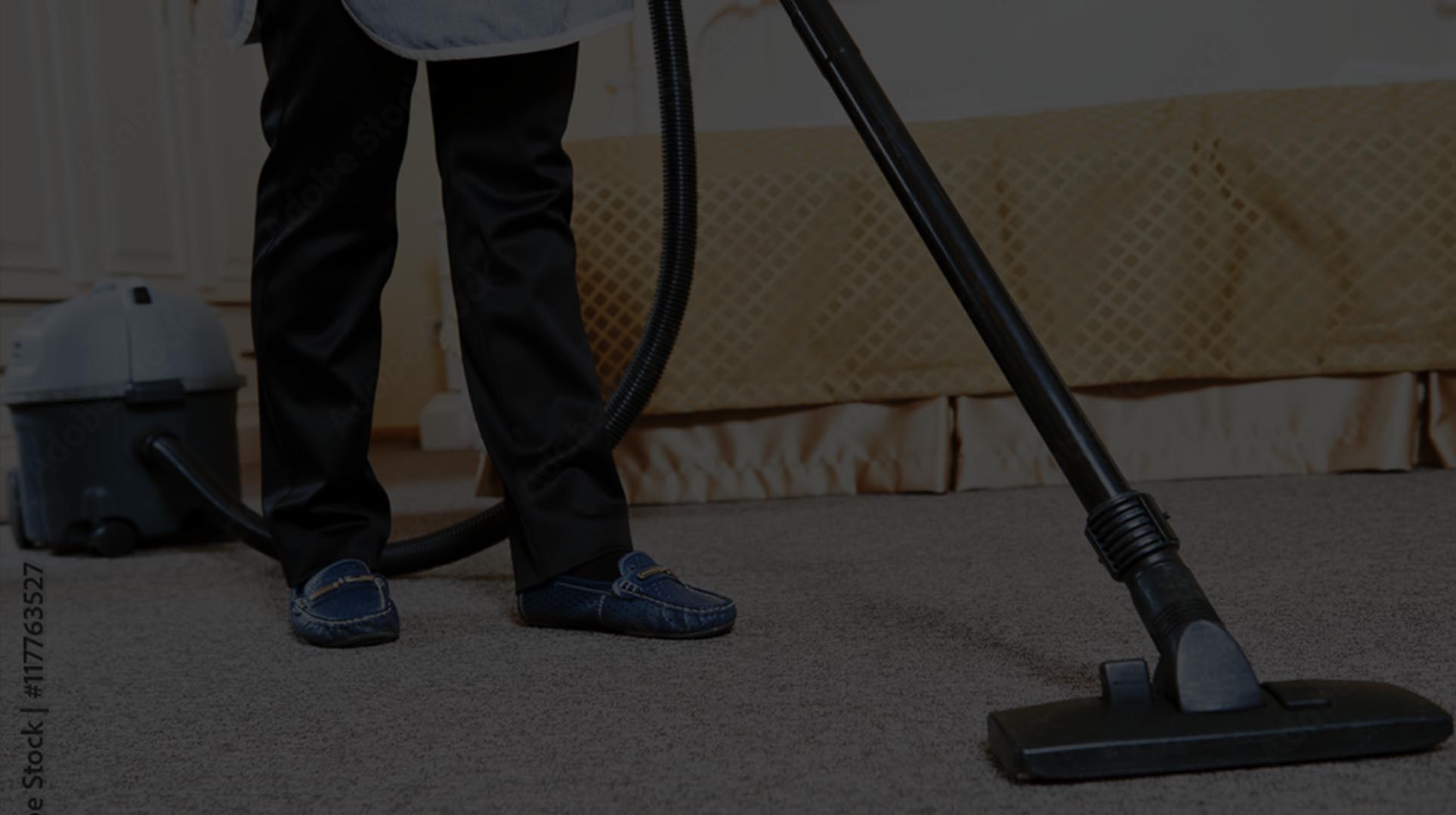 Area Rug & Oriental Rug Cleaning
